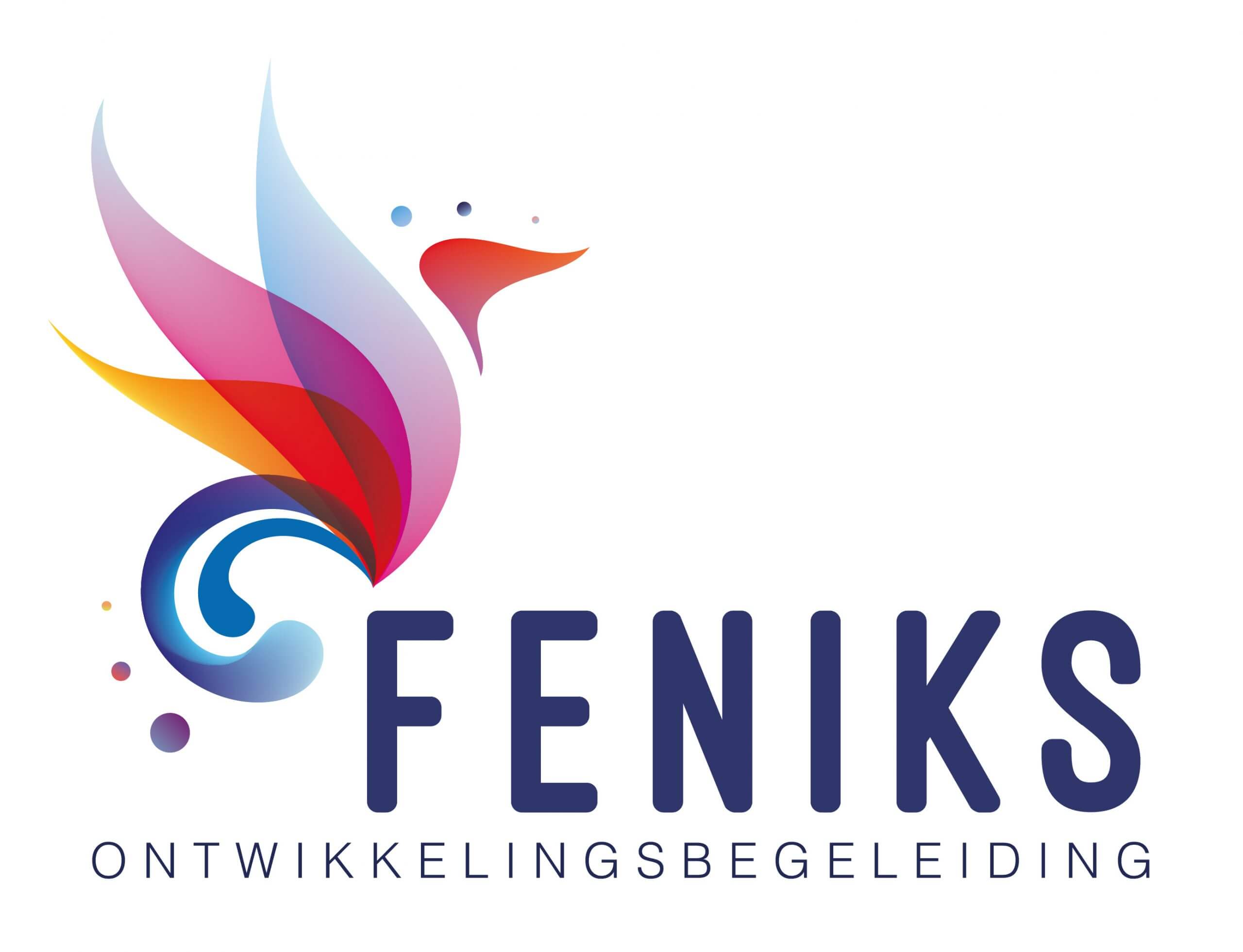 Stichting Feniks Ontwikkelingsbegeleiding